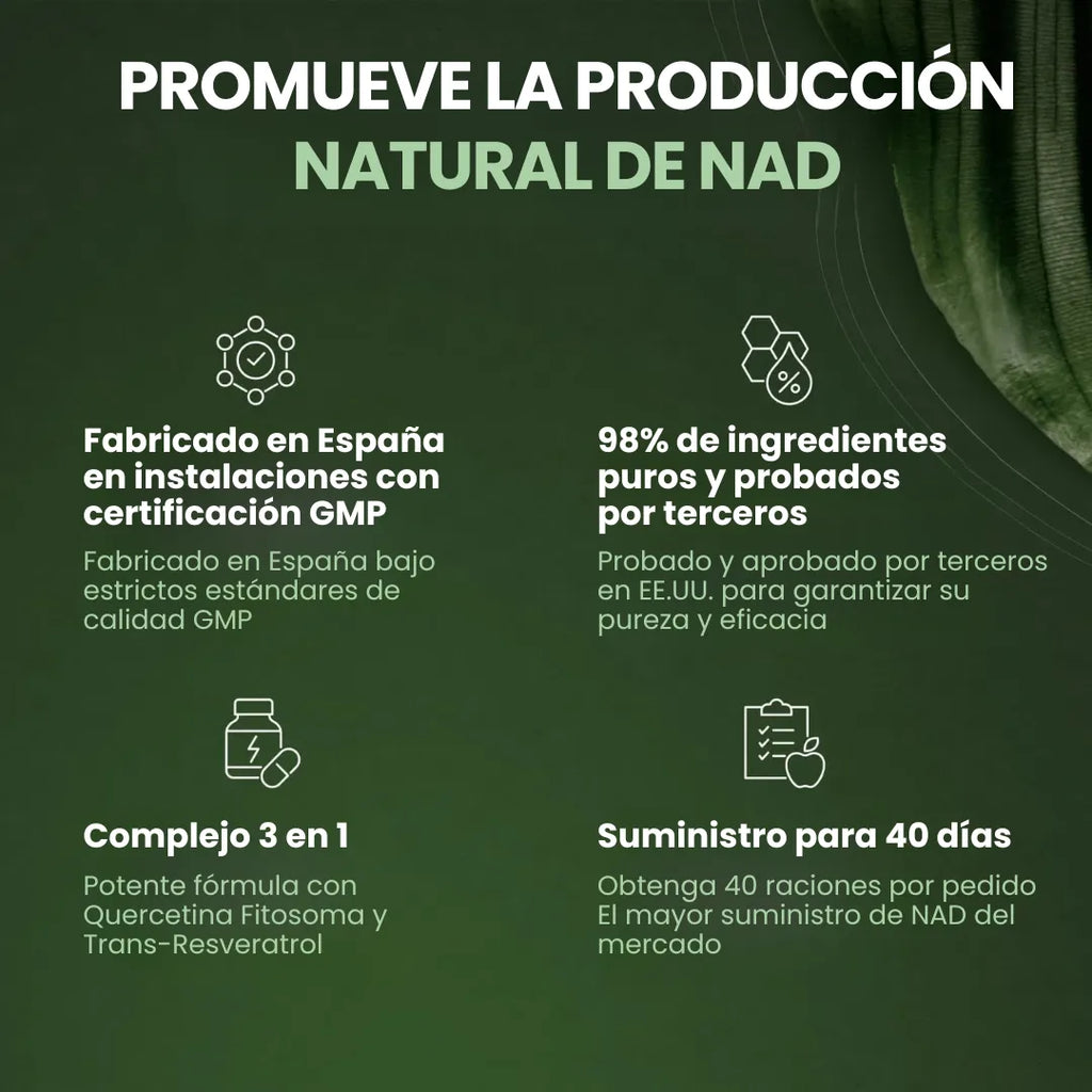 gid://shopify/MediaImage/33089339654314