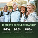 gid://shopify/MediaImage/33089339621546